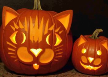 kürbis katzengesicht-Titel